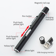 USB Rechargeable Penlight with Dual Lights